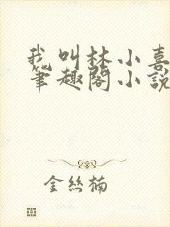 我叫林小喜乖宝笔趣阁小说封面