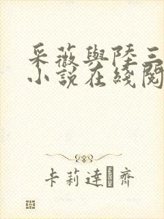 采薇与陆三平的小说在线阅读封面