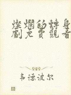 灿烂的转身电视剧免费观看全集高清封面