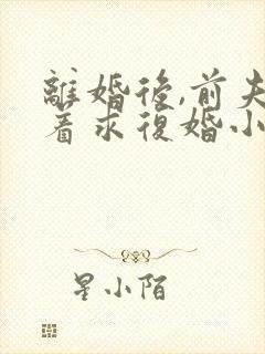 离婚后,前夫哭着求复婚小说全文在线阅读