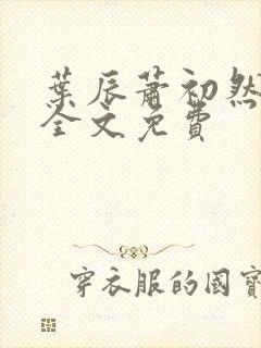 叶辰萧初然完结全文免费封面