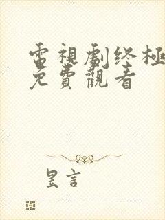 电视剧终极对决免费观看