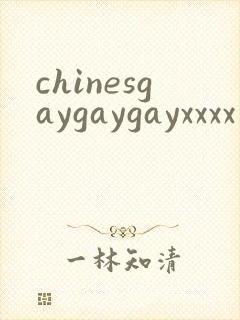 chinesgaygaygayxxxx