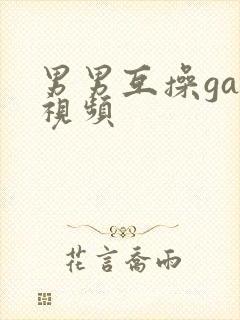 男男互操gay视频