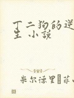 丁二狗的逆袭人生 小说