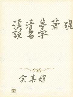 溪清梦萧砚池小说名字
