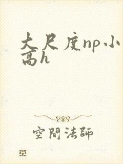 大尺度np小说高h