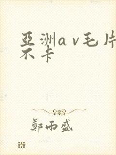 亚洲a v毛片不卡