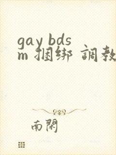 gay bdsm 捆绑 调教 男奴封面