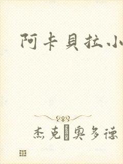 阿卡贝拉小说