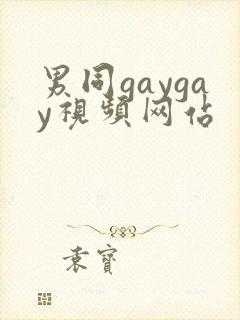 男同gaygay视频网站