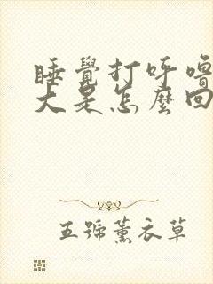 睡觉打呼噜声音大是怎么回事
