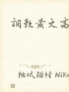 调教黄文高h封面