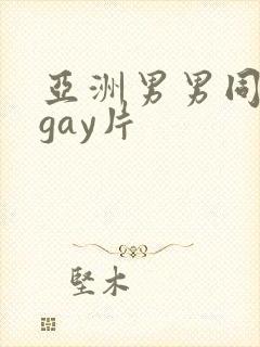 亚洲男男同性恋gay片