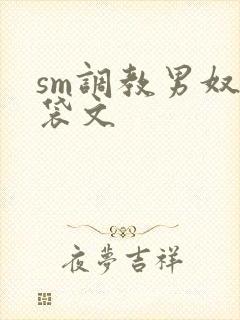 sm调教男奴囊袋文