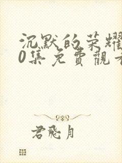 沉默的荣耀第20集免费观看
