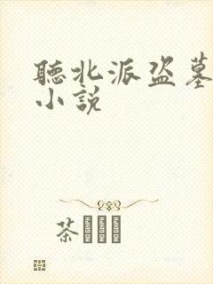 听北派盗墓笔记小说封面