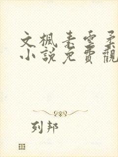 文枫素云柔佳的小说免费观看