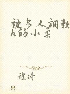 被多人调教失禁h的小柔
