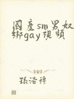 国产sm男奴捆绑gay视频