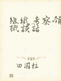组织考察领导升职谈话