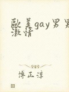 欧美gay男男激情