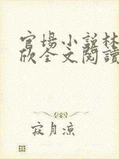 官场小说林峰宁欣全文阅读