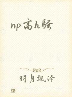 np高h骚封面