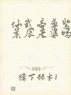 仙武帝尊紫萱是叶辰老婆吗