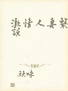 激情人妻系列小说