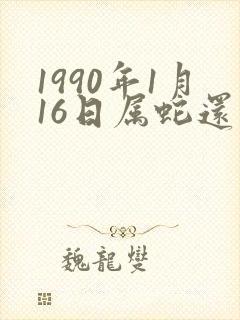 1990年1月16日属蛇还是马