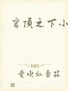 穹顶之下小说