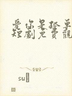 爱你是孤单心事短剧免费观看全集