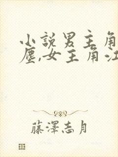 小说男主角沈卿尘,女主角江稚免费阅读
