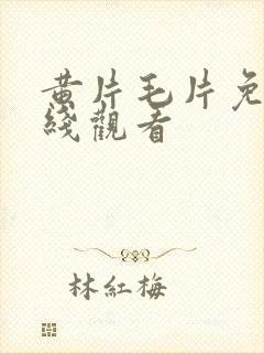 黄片毛片免费在线观看
