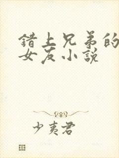 错上兄弟的女神女友小说