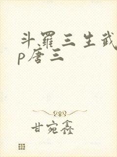 斗罗三生武魂cp唐三封面