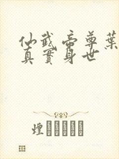 仙武帝尊叶辰的真实身世