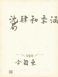 沈肆和季涵漪结局封面