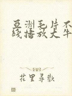 亚洲毛片不卡在线播放大牛影视