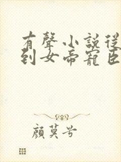 有声小说从赘婿到女帝宠臣免费听封面