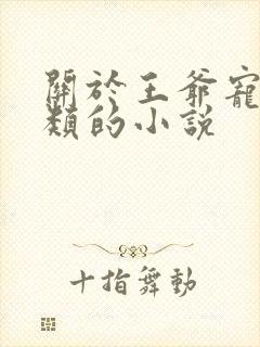 关于王爷宠王妃类的小说