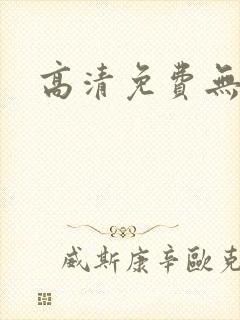 高清免费无遮挡