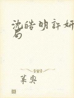 沈皓明许妍大结局