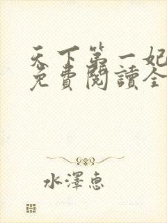 天下第一妃全文免费阅读全文