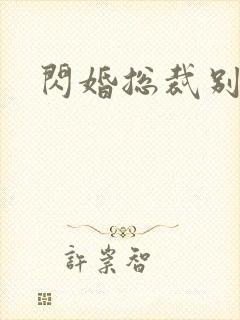 闪婚总裁别宠我