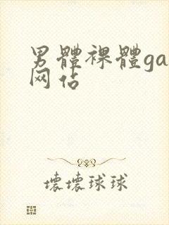 男体裸体gay网站