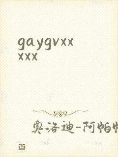 gaygvxxxxx封面