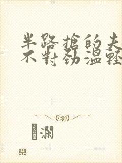 半路抢的夫君他不对劲温轻完整版