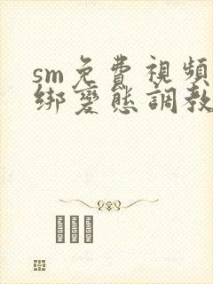 sm免费视频捆绑变态调教小说